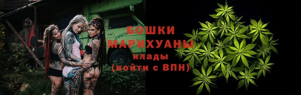 шишки Балабаново