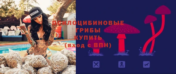 не бодяженный Рославль
